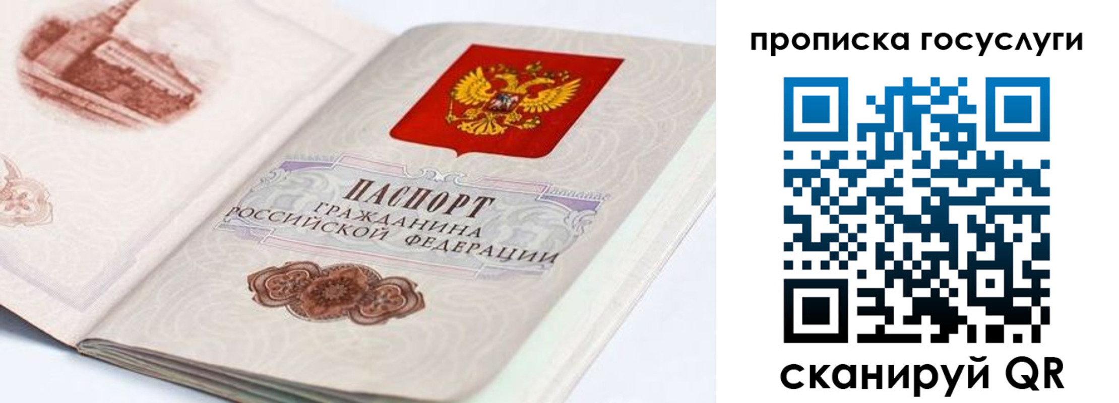 прописка регистрация в Краснодарском крае
